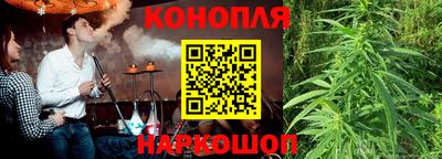 Альфа ПВП Пыть-Ях