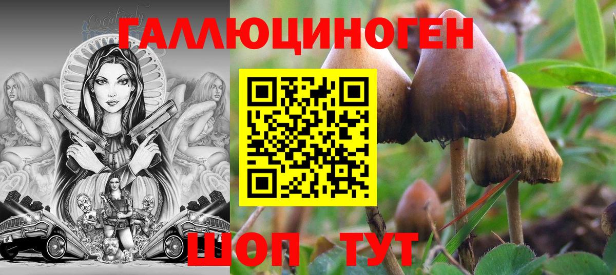 Сокол  Галлюциногенные грибы мухоморы  Псилоцибиновые грибы прущие грибы  Вход с VPN 
