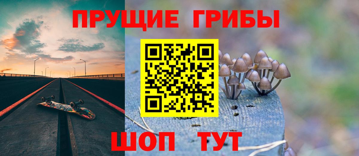 Псилоцибиновые грибы Psilocybine cubensis Сокол